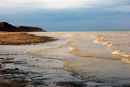 p2-copy.jpg